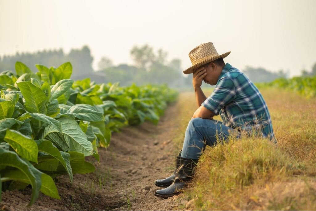 Consórcio Agrícola